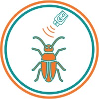 Отпугиватели тараканов